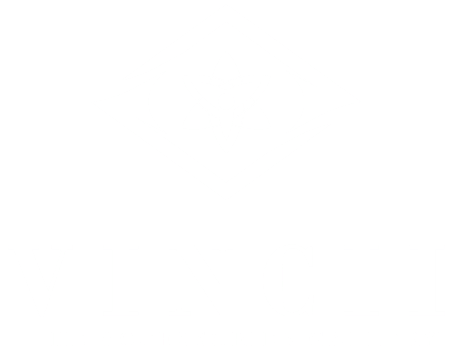 Vinciiandco