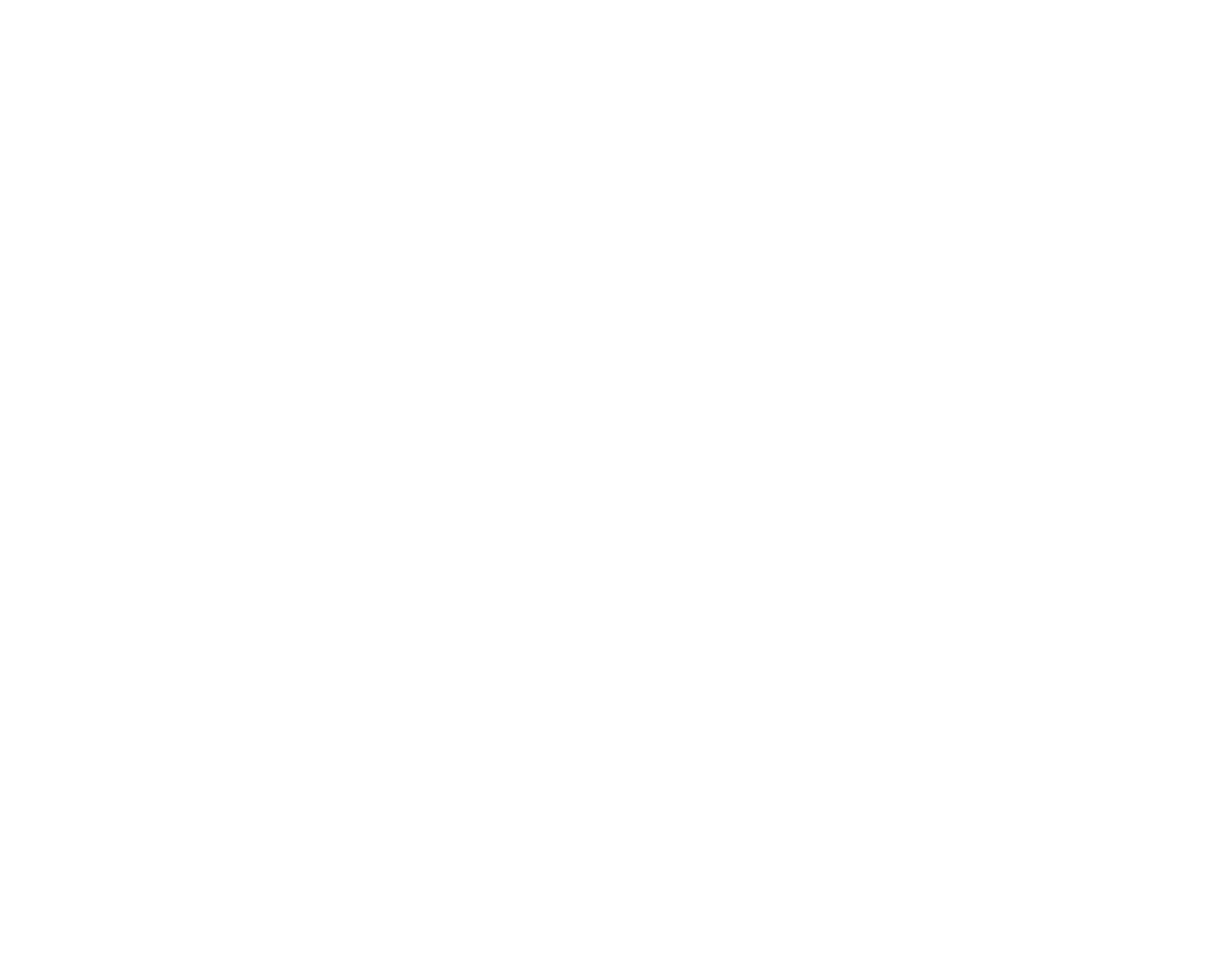 Vinciiandco